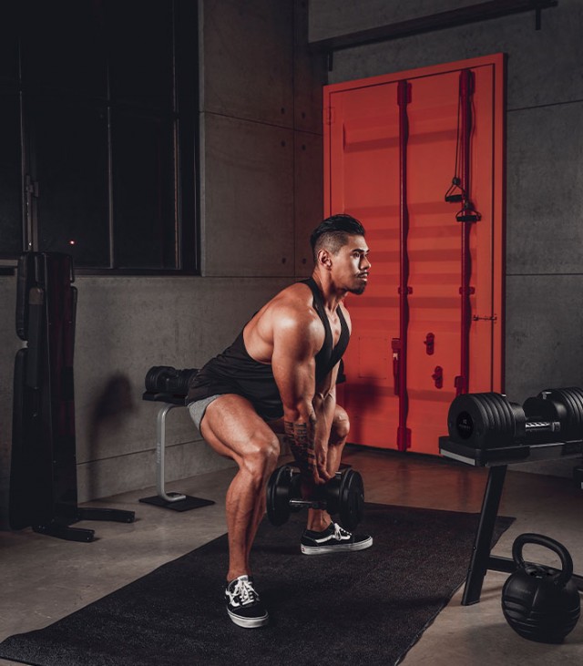 100lb adj dumbbell application